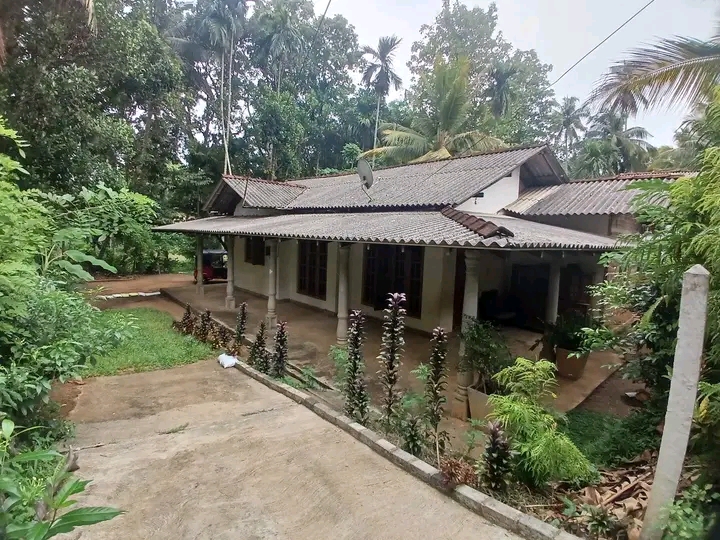 House Sale in Polgahawela