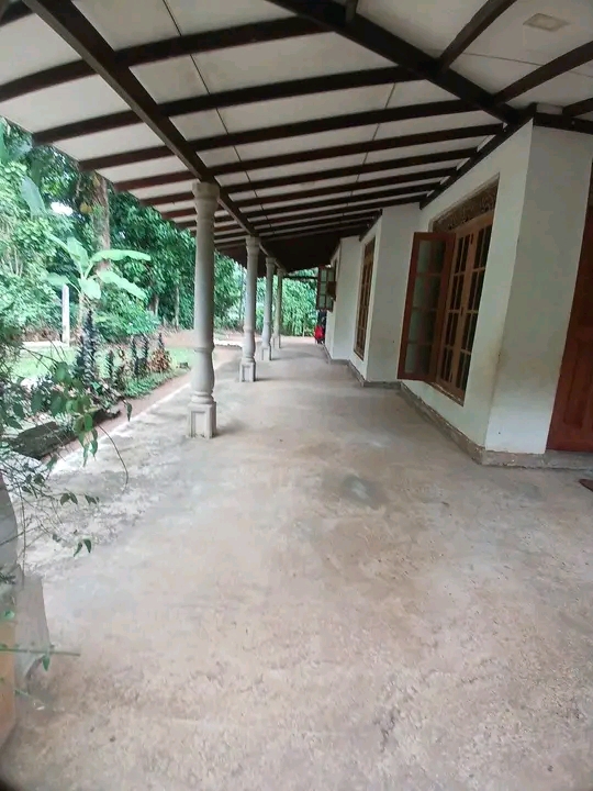 House Image 2