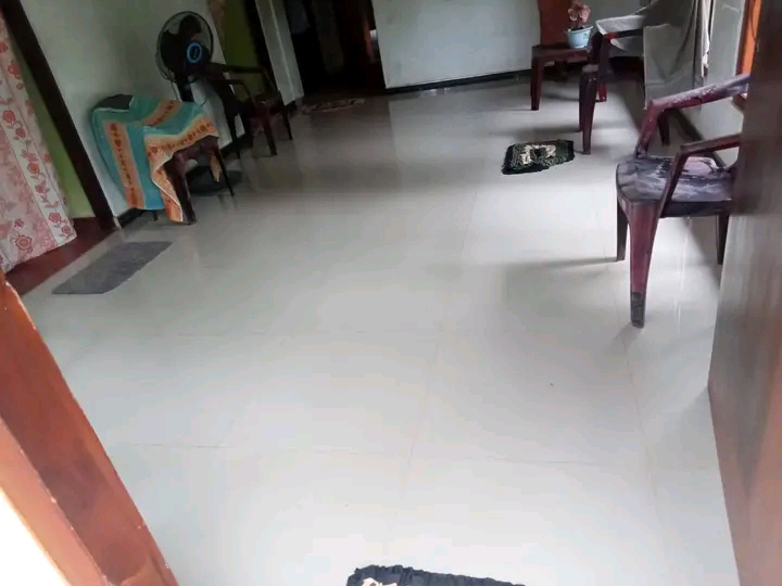 House Image 2