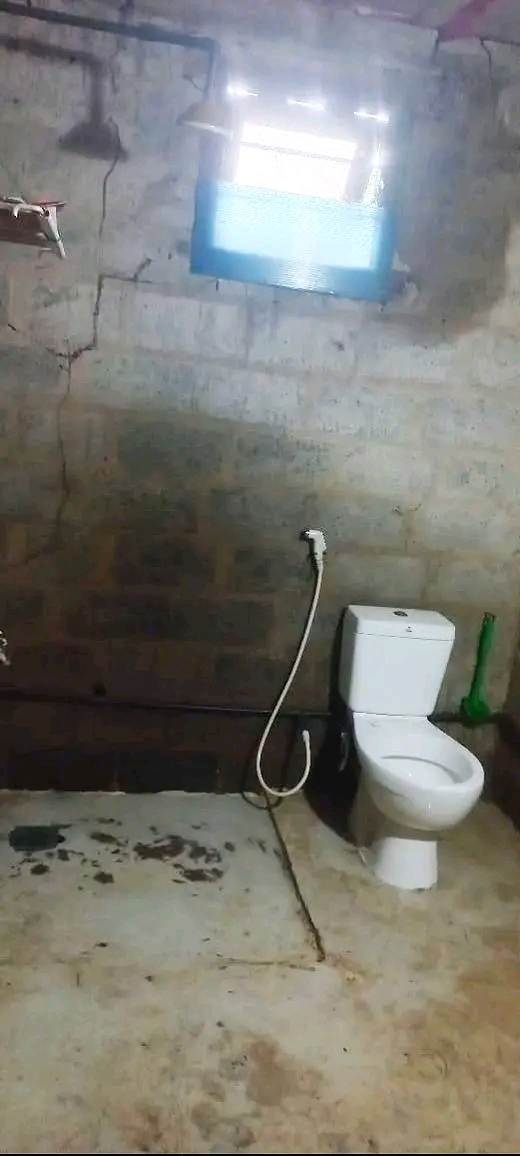 House Image 3