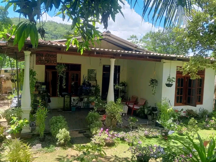 House Sale in Bulathsinhala