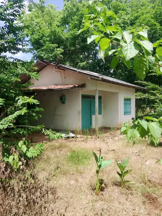 House Sale in Ambilipitiya