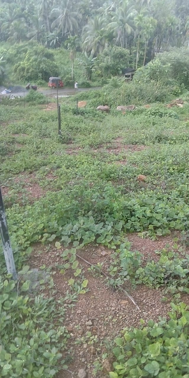 Land Sale in Rathnapura