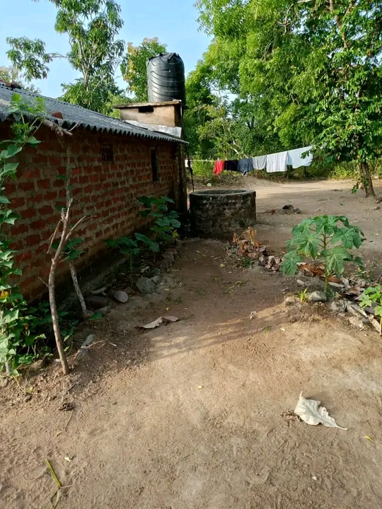 House Image 2