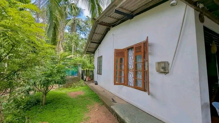 House Image 2