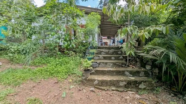 House Image 3