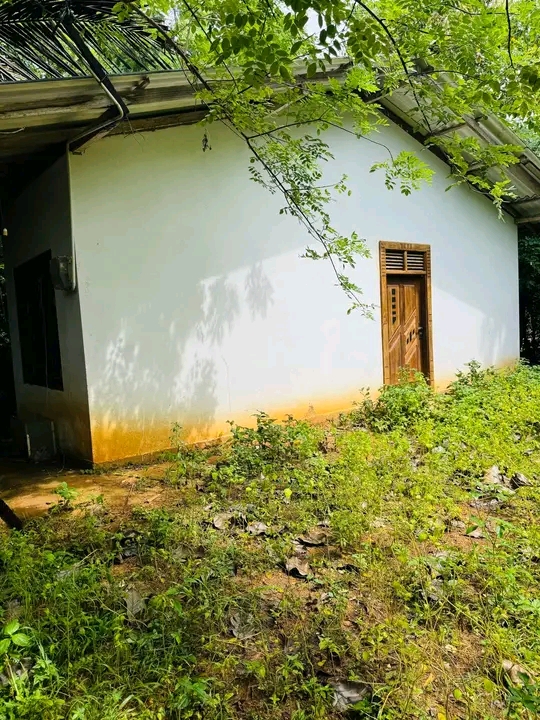 House Sale in Ambilipitiya