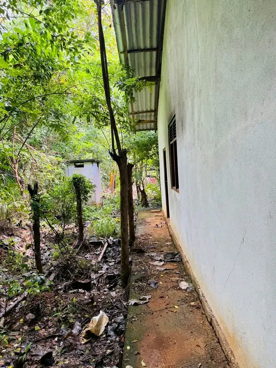 House Image 3