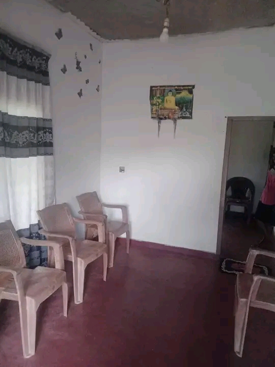House Image 2