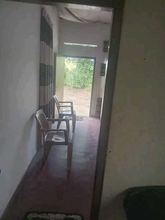 House Image 3