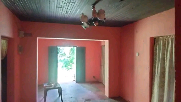 House Image 2