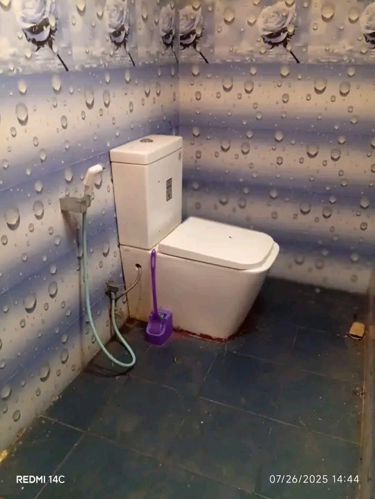 House Image 3