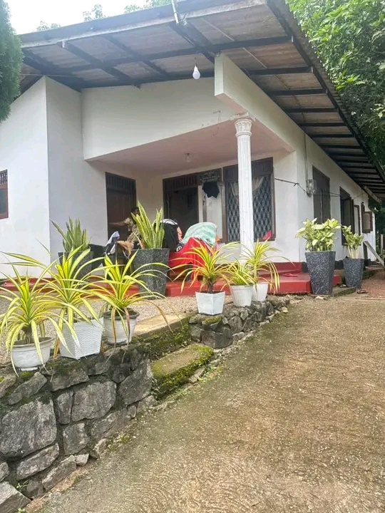 House Sale in Walgalmulla