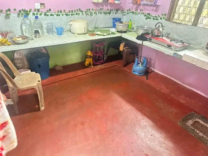 House Image 3