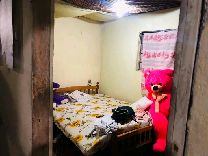 House Image 2