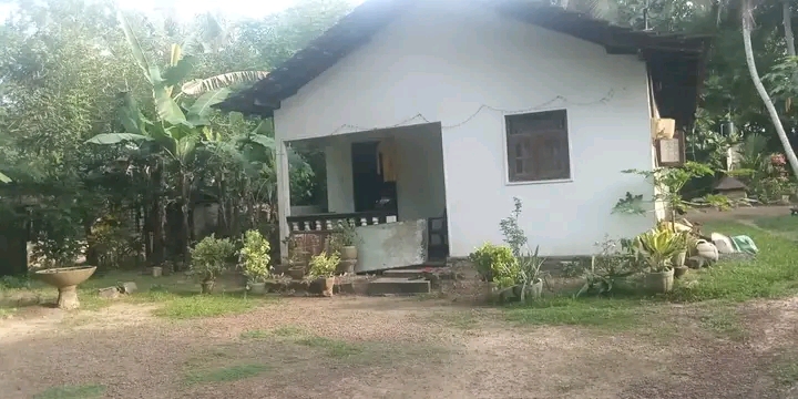 House Sale in Naiwala