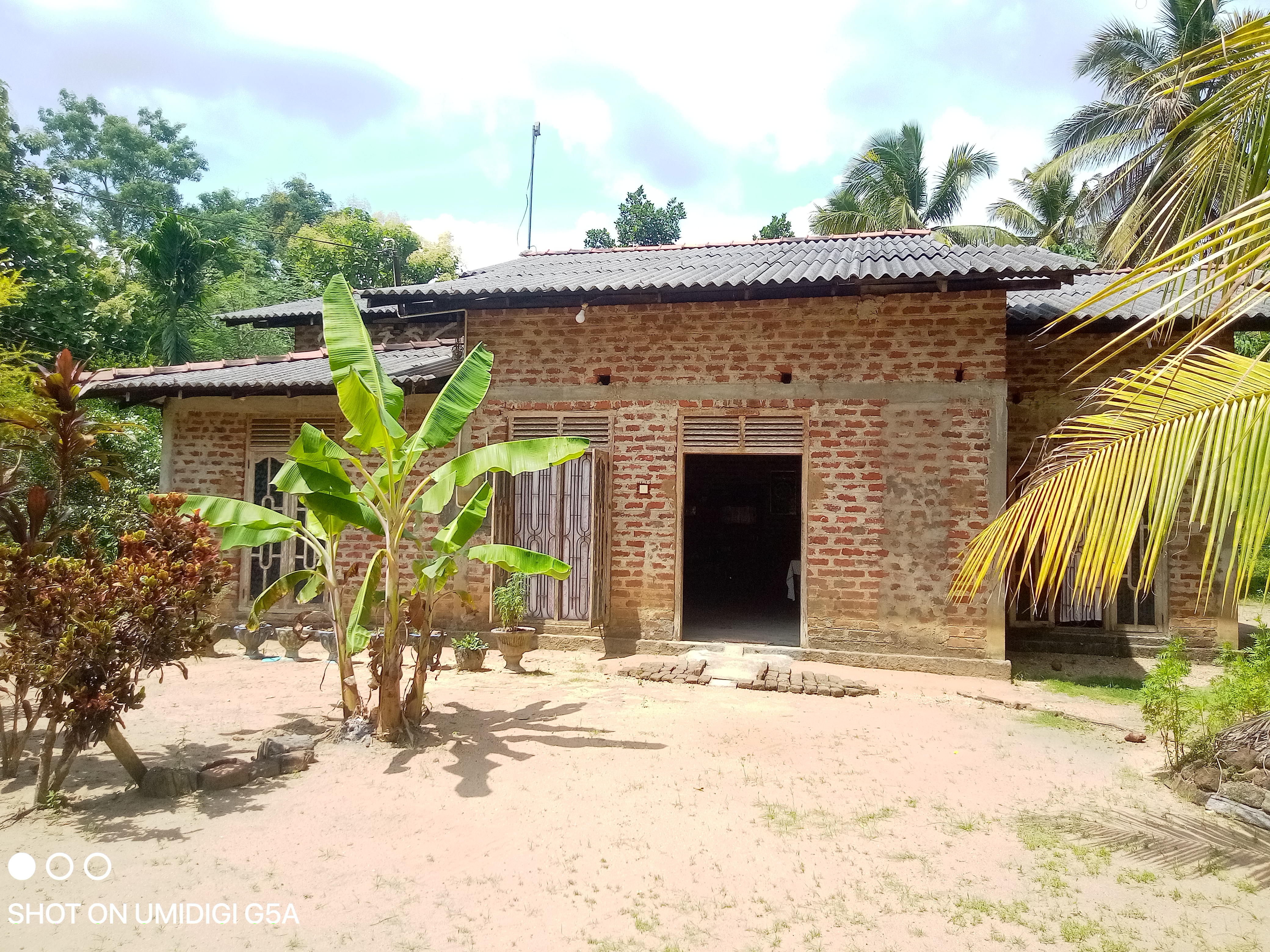 House Sale in Ambanpola