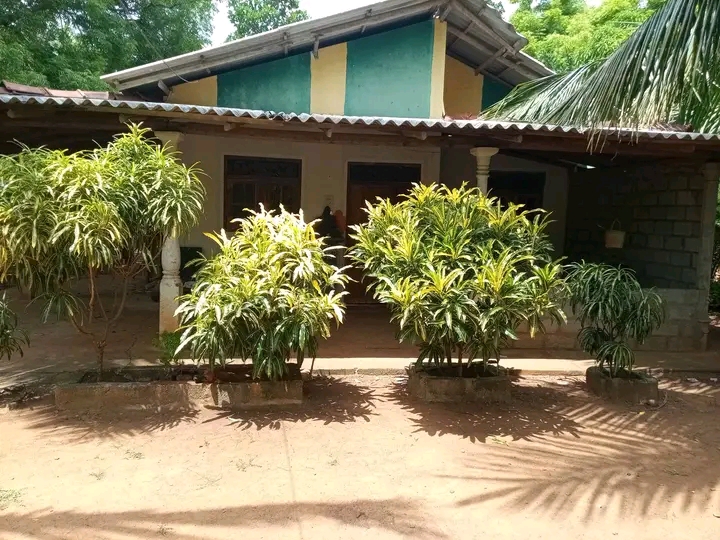 House Sale in Hungama