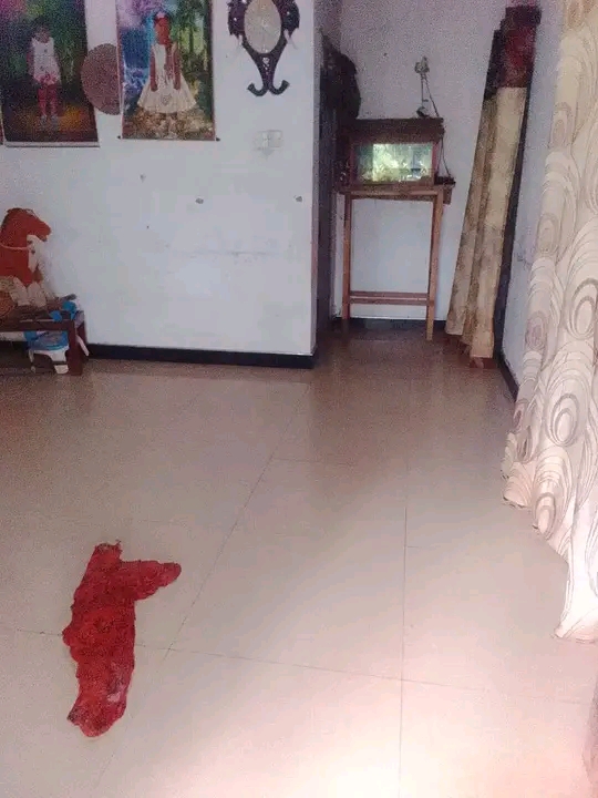 House Image 2