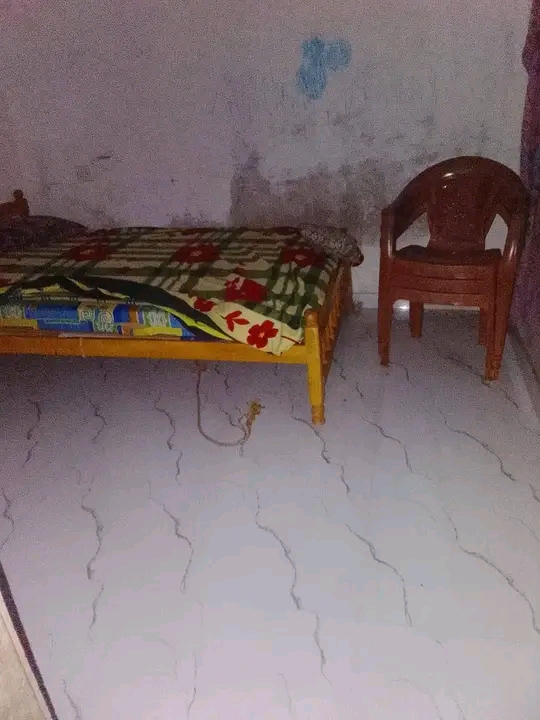 House Image 3