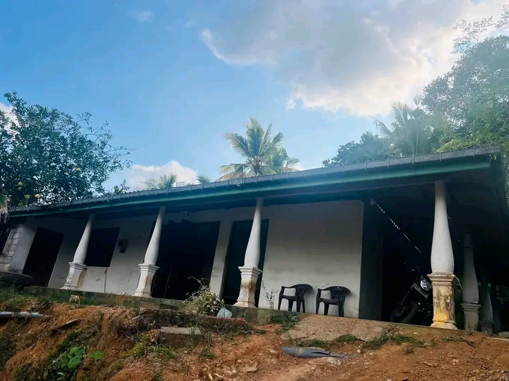 House Image 3