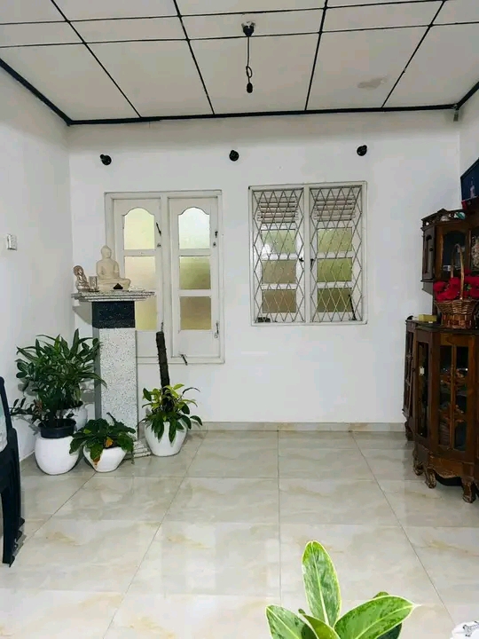 House Image 3