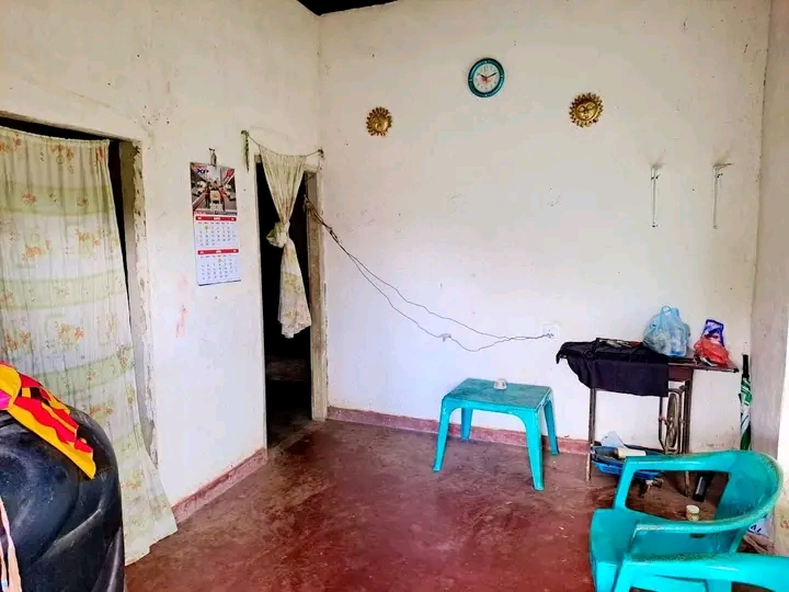 House Image 3