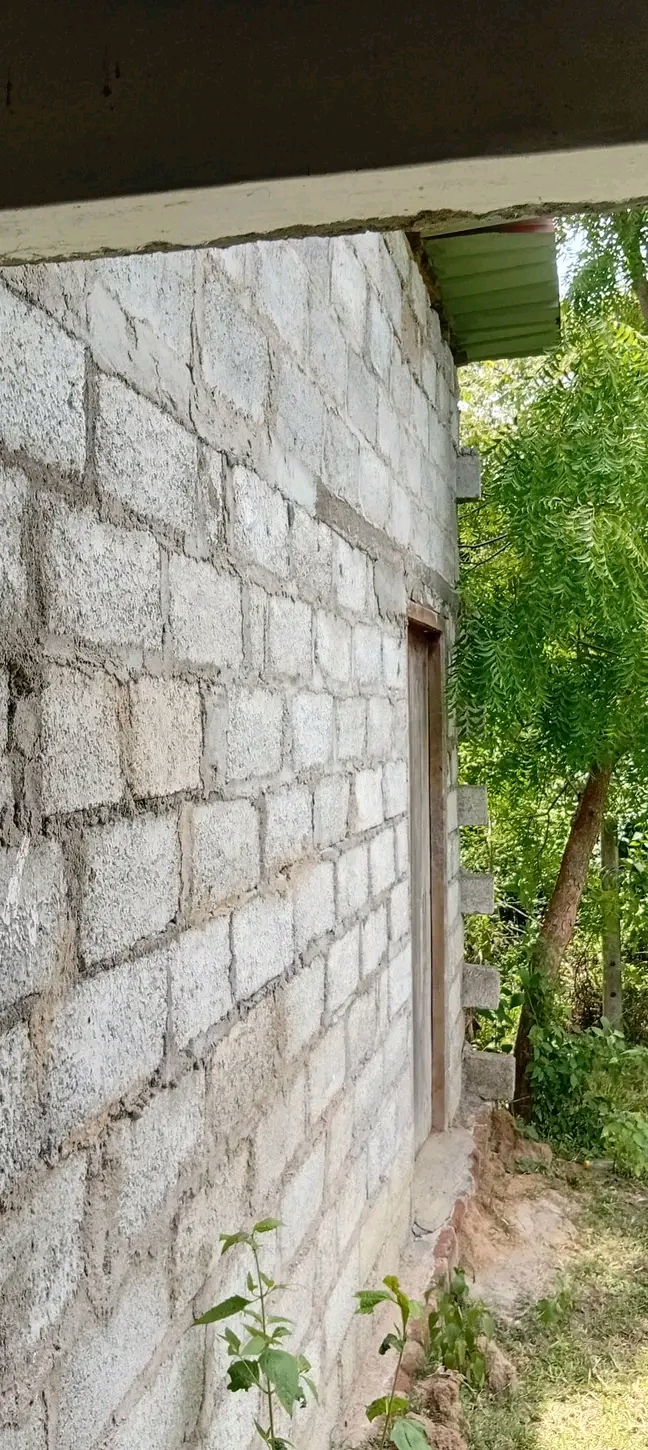House Image 3