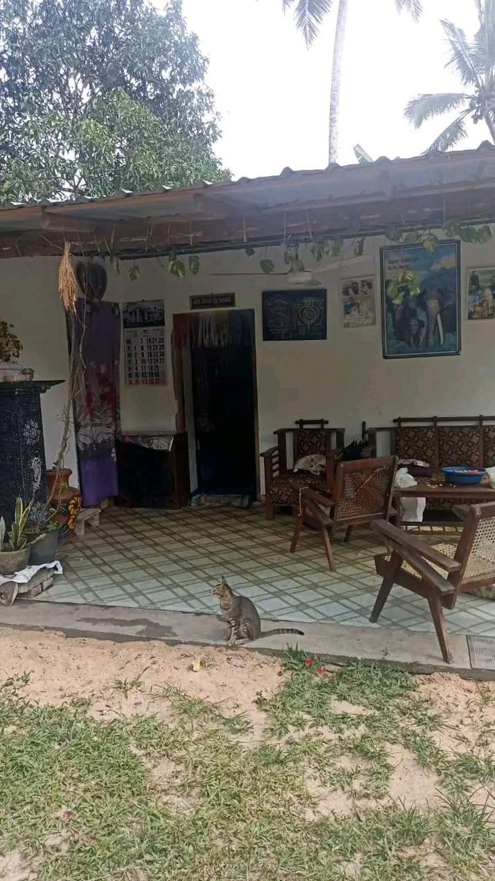 House Sale in Diwlapitiya