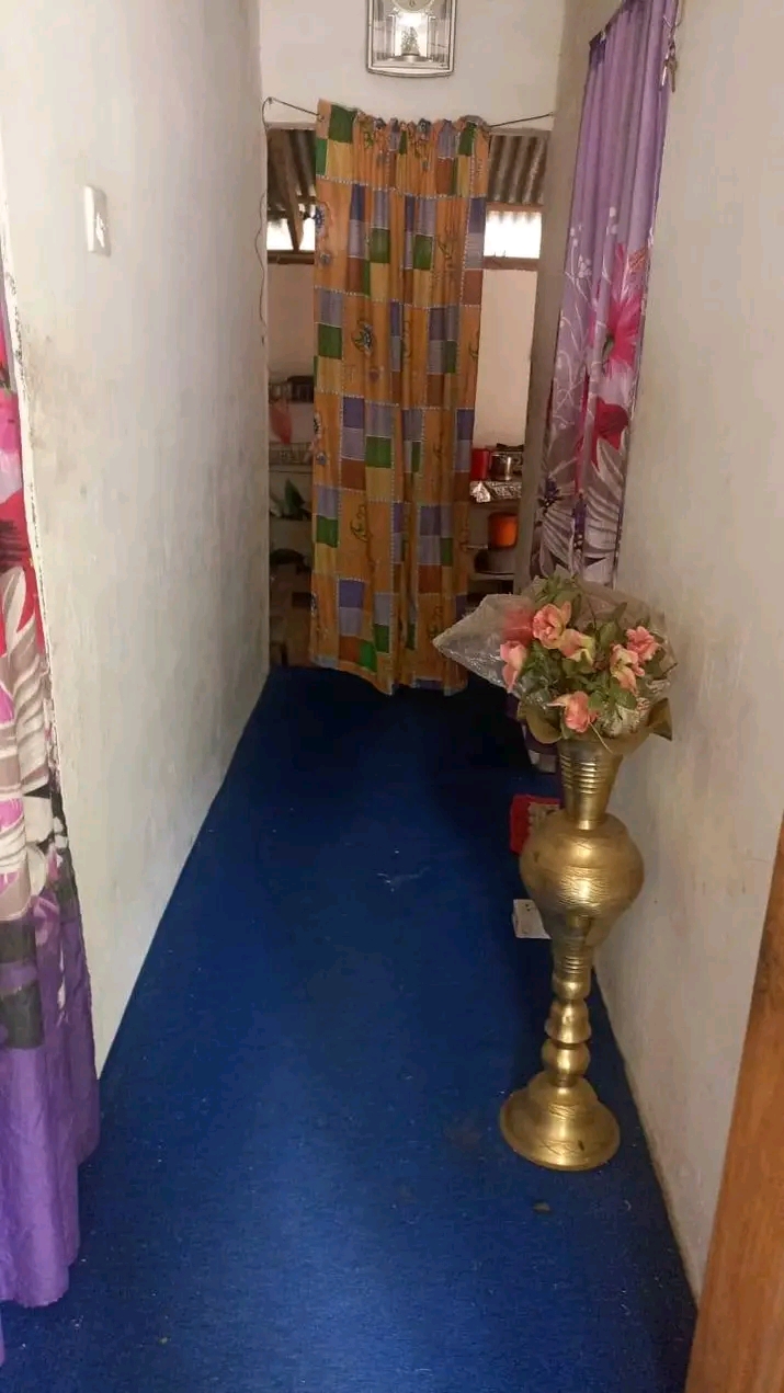 House Image 2