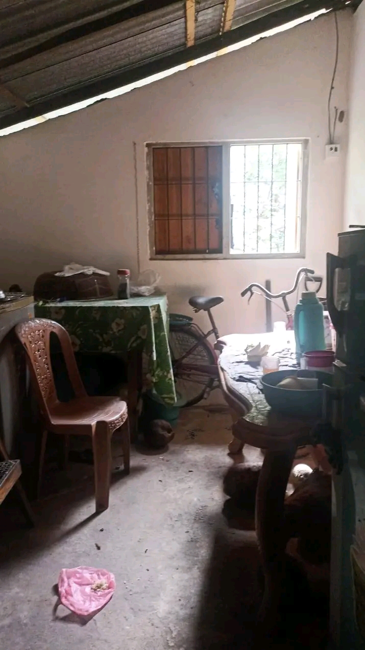 House Image 3