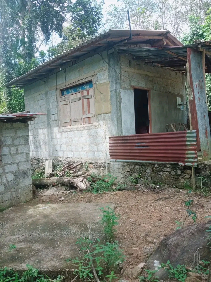 House Sale in Avissawella