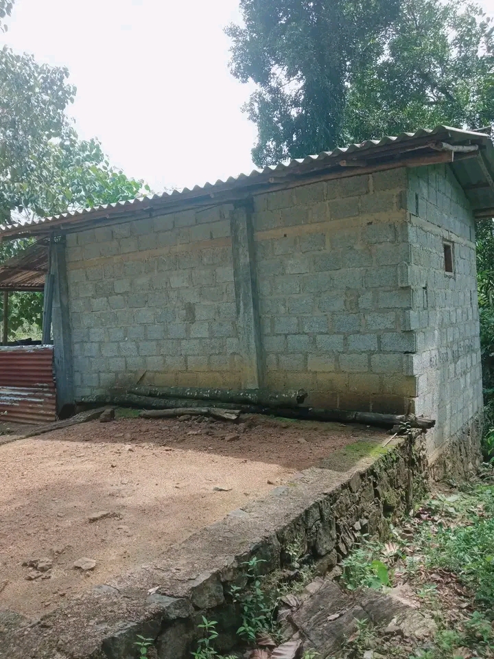 House Image 2