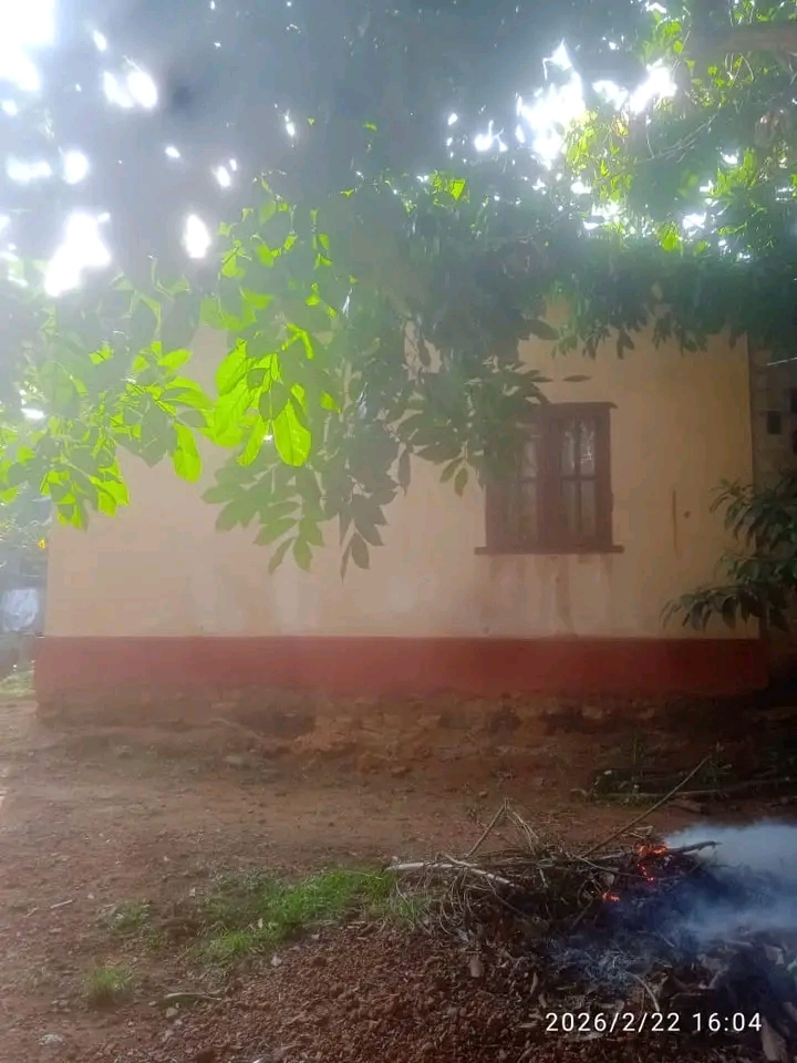 House Image 3