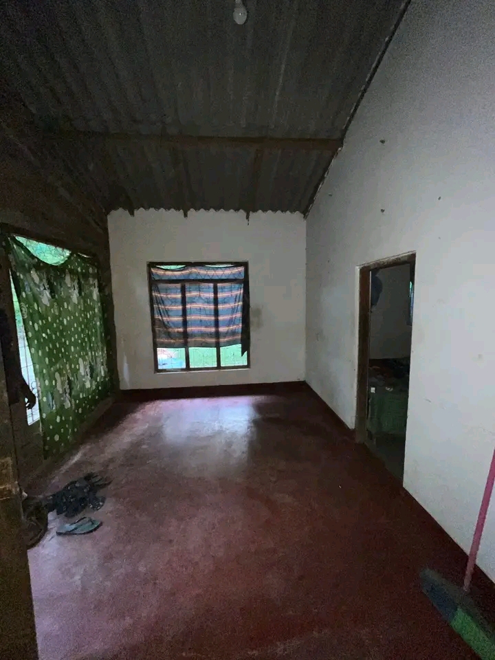 House Image 2