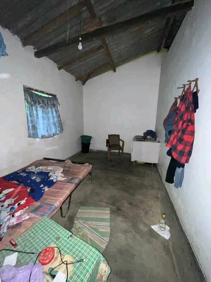 House Image 3