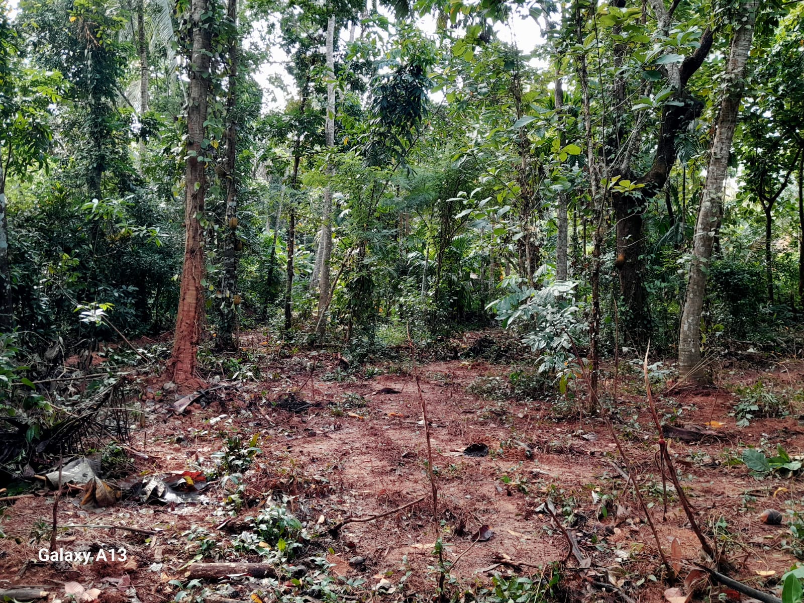 House and Land Narammala