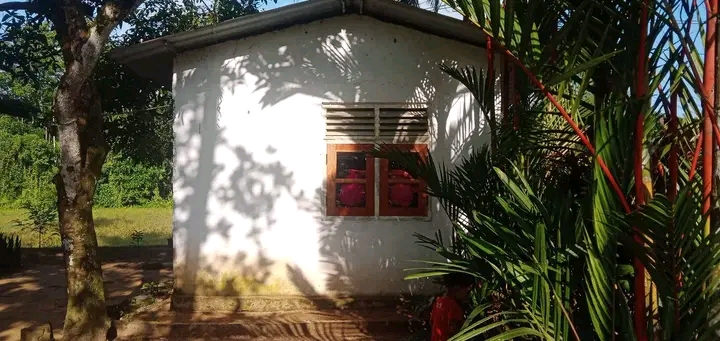 House Image 3