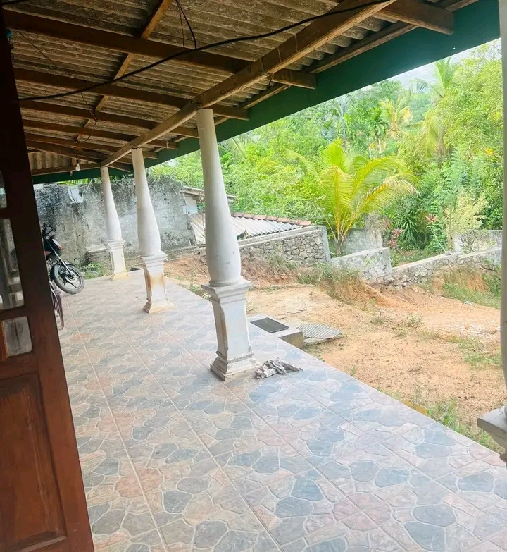 House Image 3