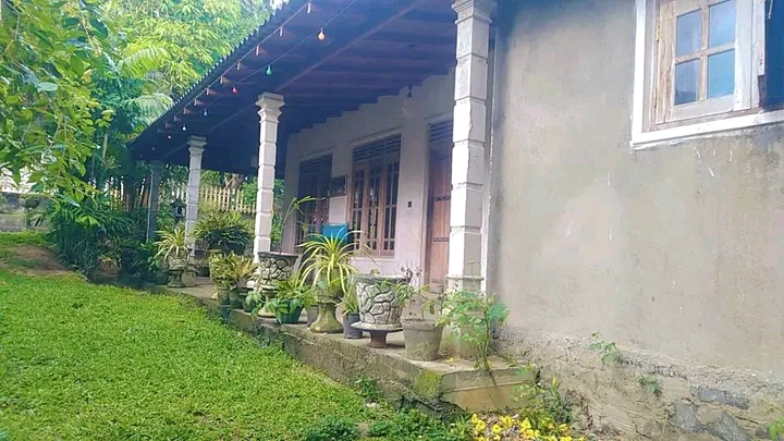 House Image 2