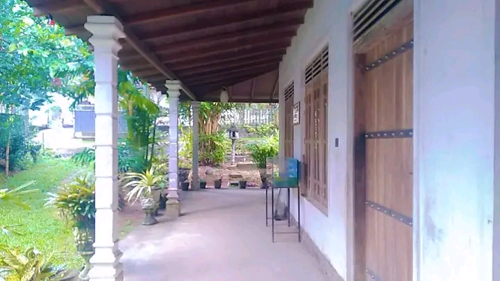House Image 3