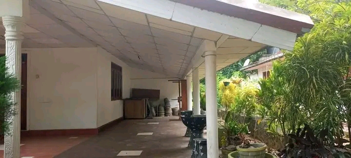 House Image 2