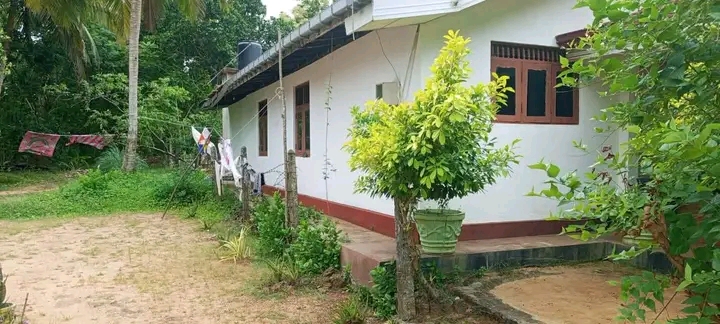 House Image 4