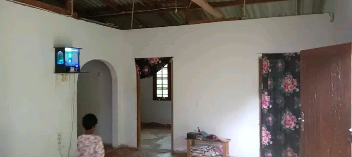 House Image 2