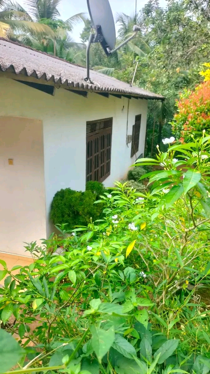 House Sale in Kiridiwela