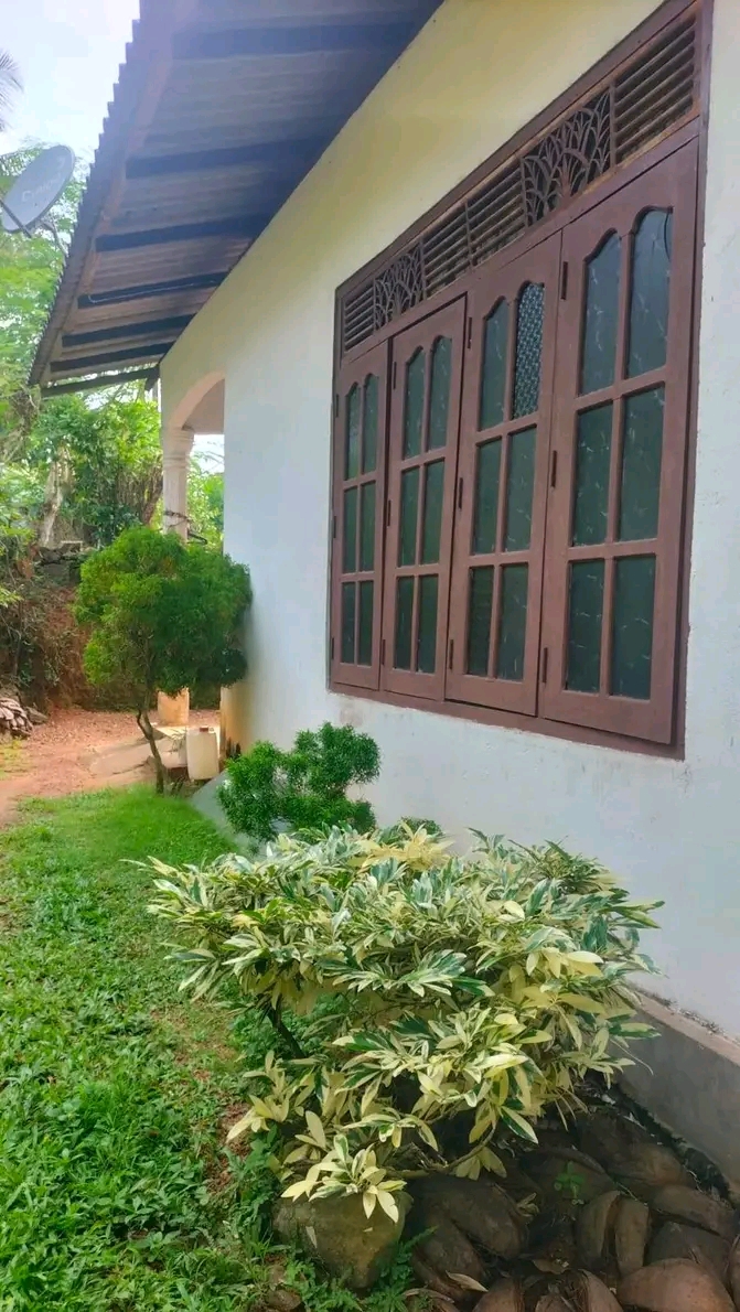 House Image 2