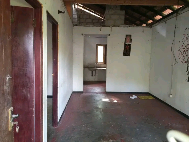 House Image 2
