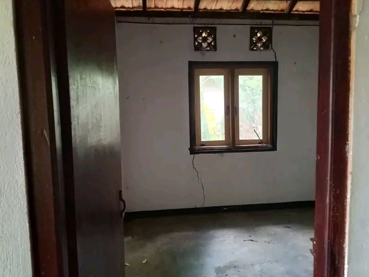 House Image 3