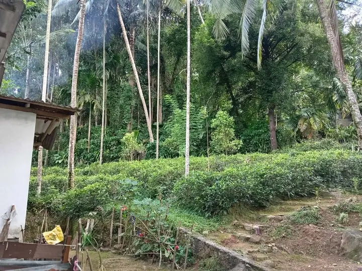 House Image 3