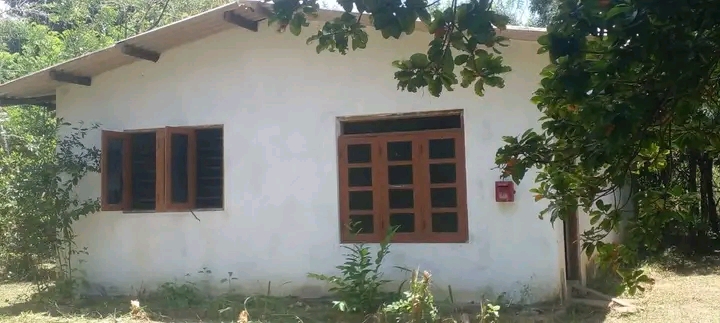 House Image 3